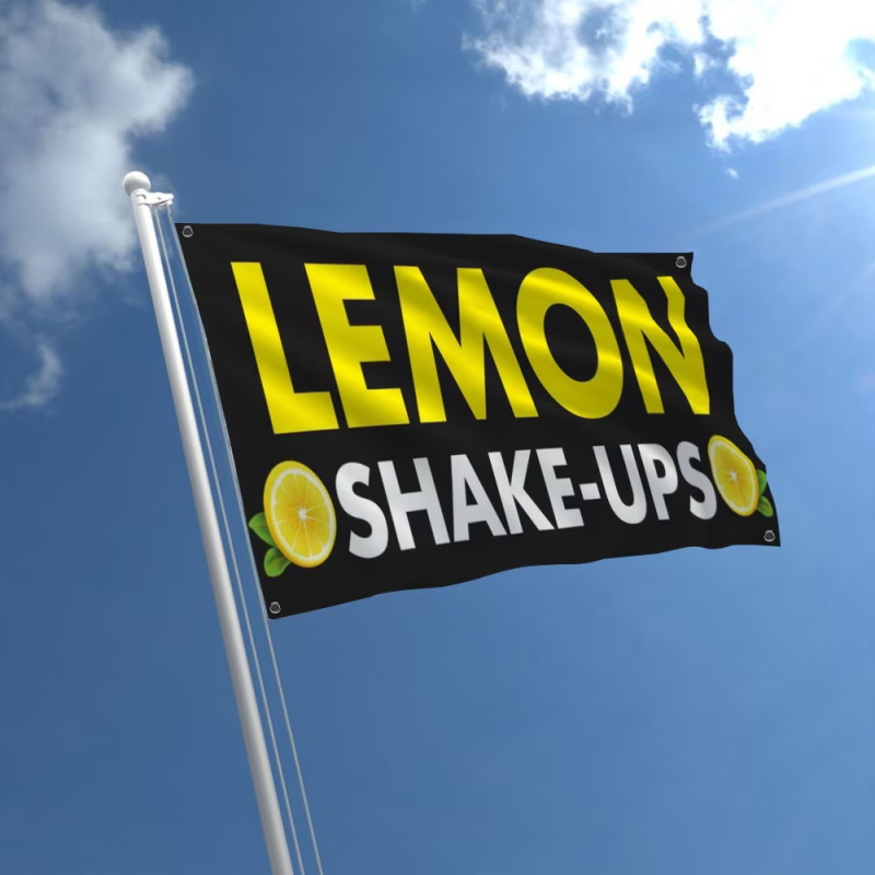 Custom Banner Flags Suitable F - Auto Repair Shop Logo 评论和价格