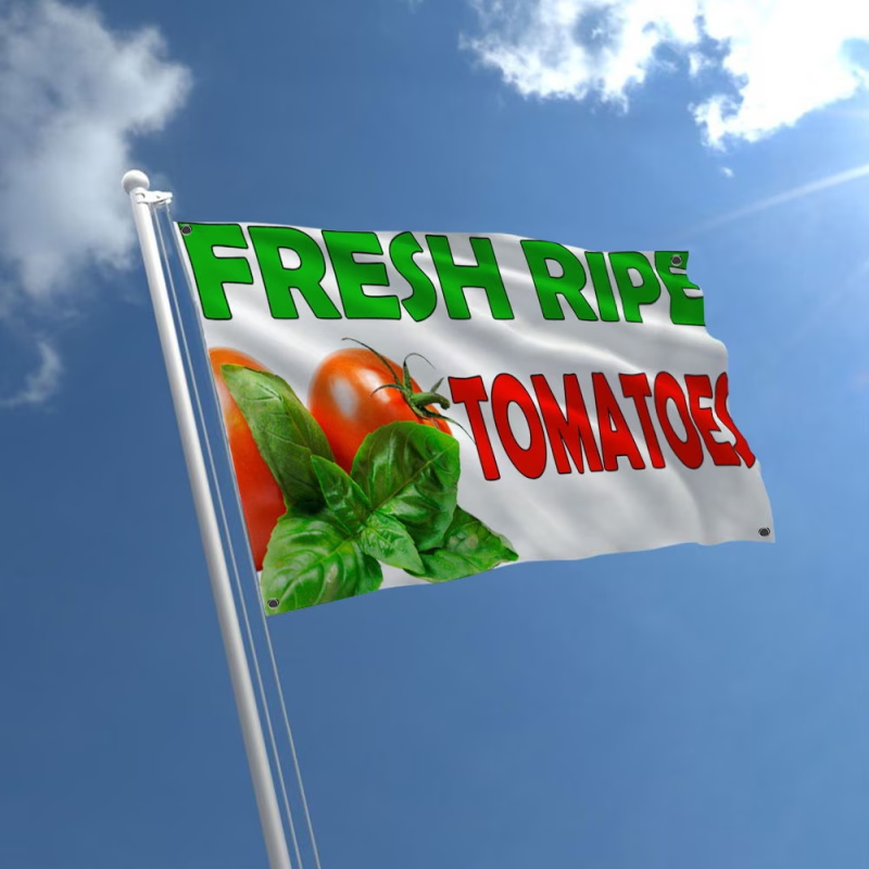 Custom Banner Flags Suitable F - Auto Repair Shop Logo 评论和价格